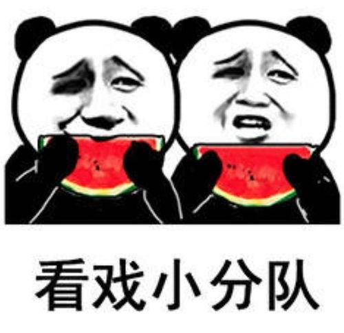 微信吃瓜表情包是哪个