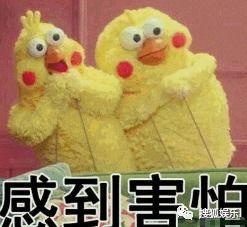 娱乐吃瓜酱爱情是什么