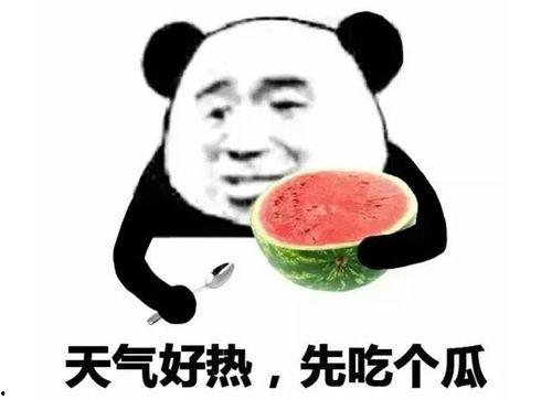 吃瓜的表情什么意思